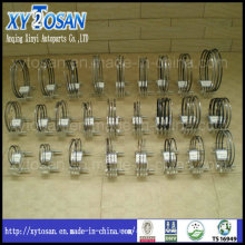 Engine Parts of Piston Ring for All Models of Perkins